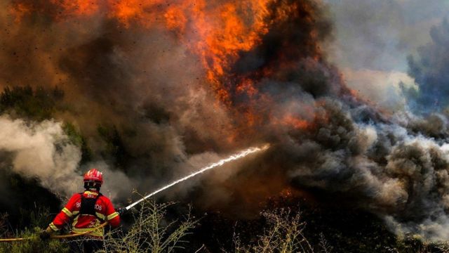 Incendios forestales devastadores