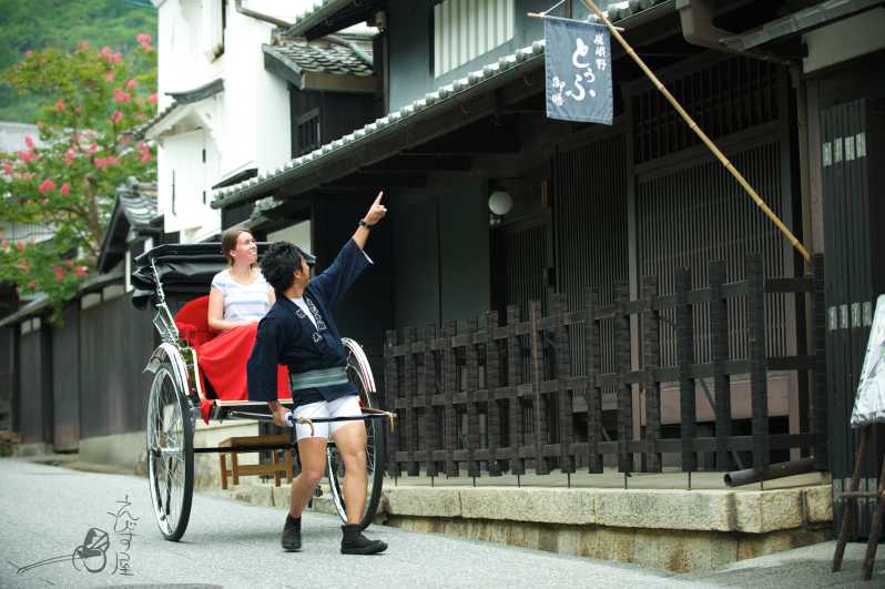 Templos de Kyoto en rickshaw