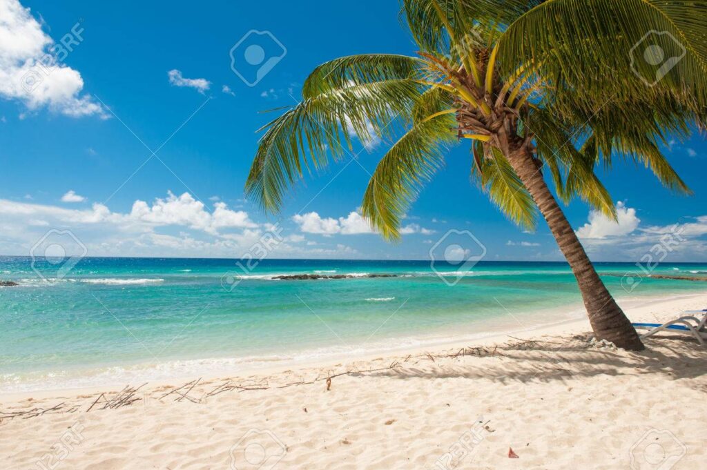 Playas de arena blanca y palmeras
