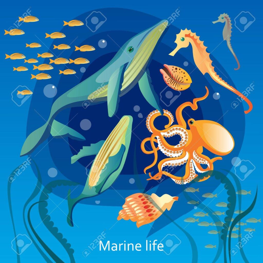 Vida marina bajo el agua