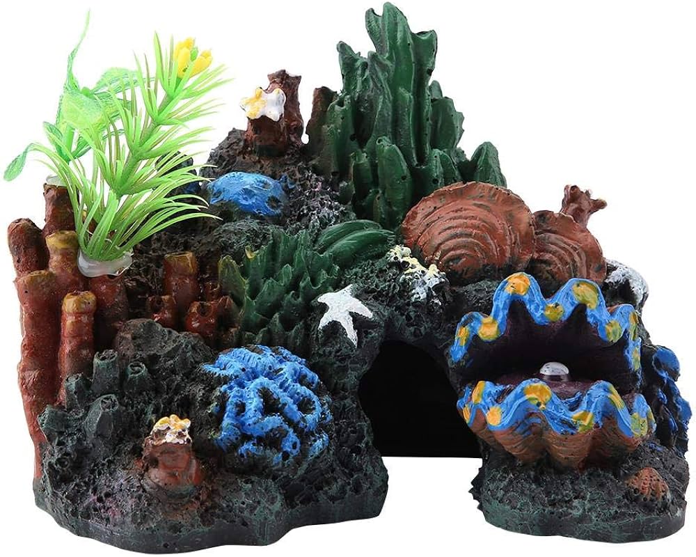 Arrecifes de coral vívidos y coloridos
