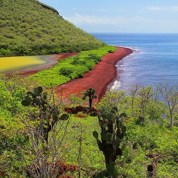 Belleza natural de Galápagos