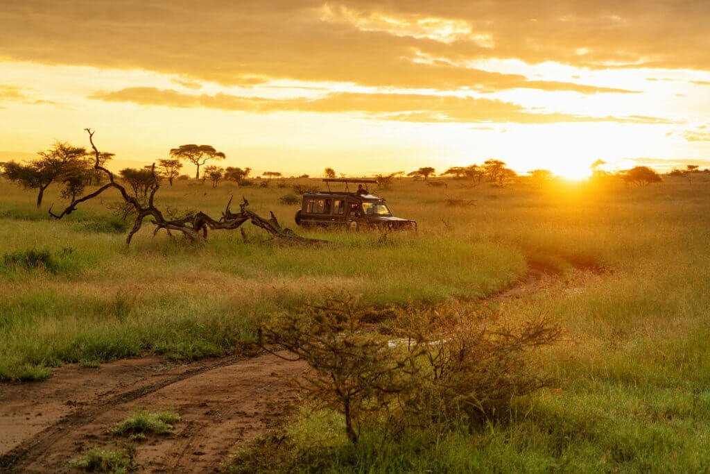 21 días de magia en África: un itinerario por destinos fascinantes