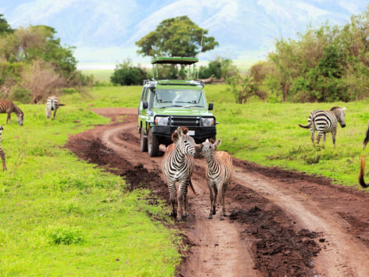 Safari en la sabana africana