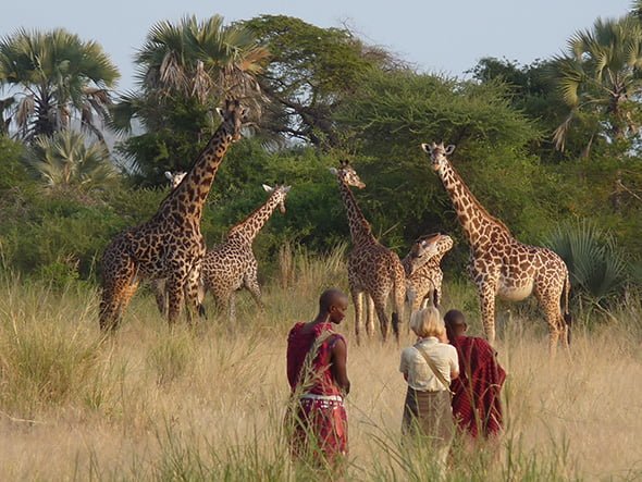 Safari en Arusha