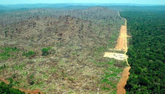 Selvas tropicales en peligro