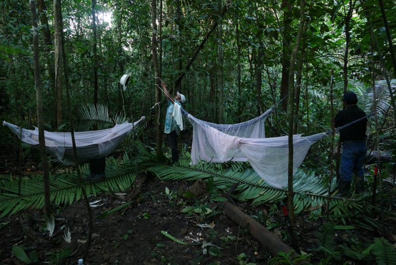 Selva amazónica en acampada
