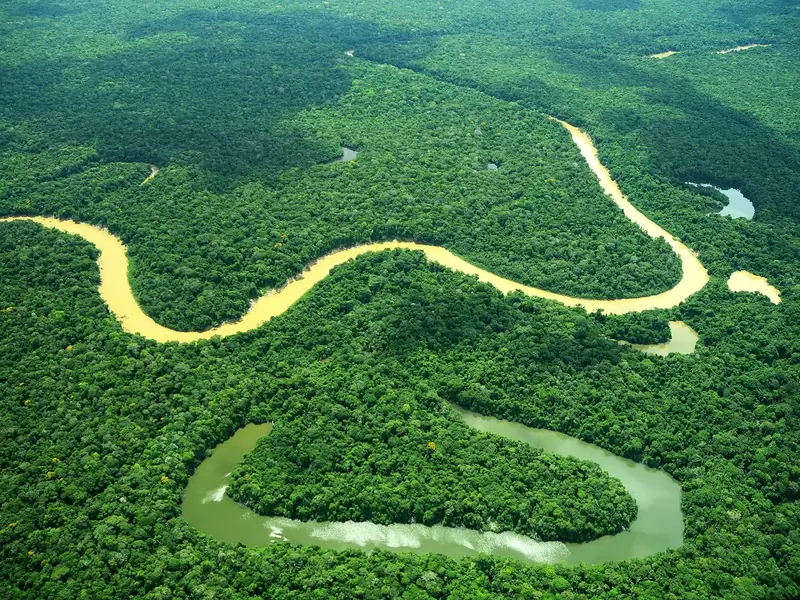 Selva amazónica en Brasil