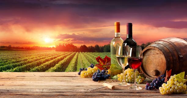 Viñedos y botellas de vino