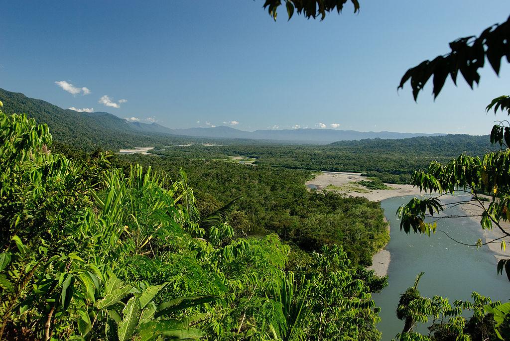 Biodiversidad amazónica en Perú