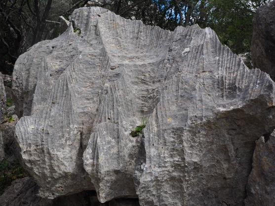Rocas de caliza para escalada