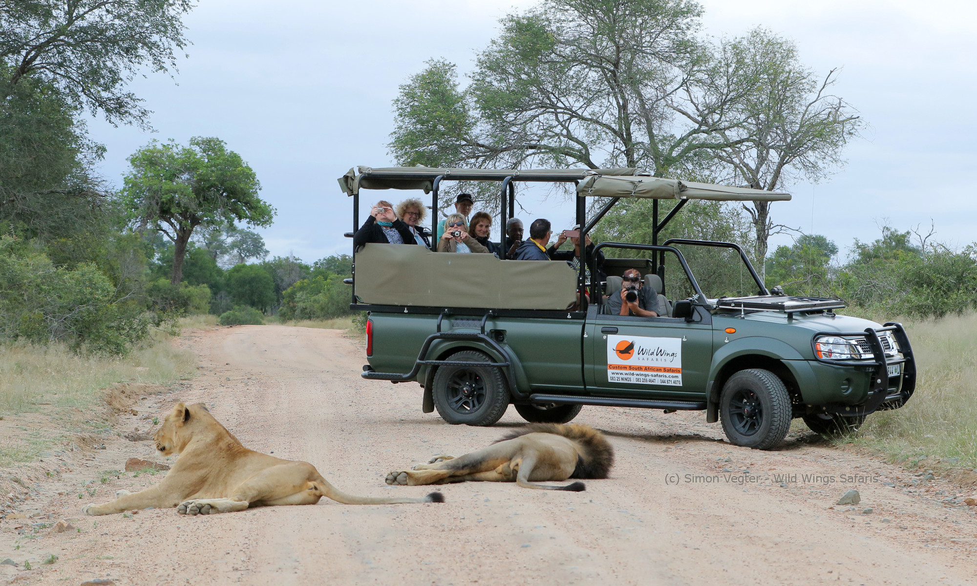 Fotos de safari en Kruger