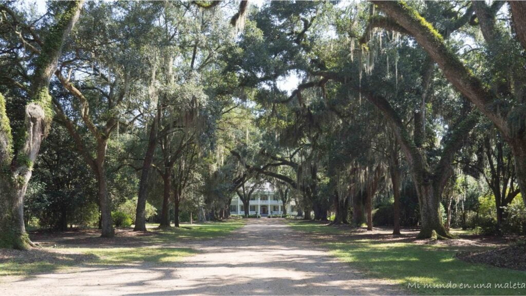 Plantaciones históricas en Louisiana
