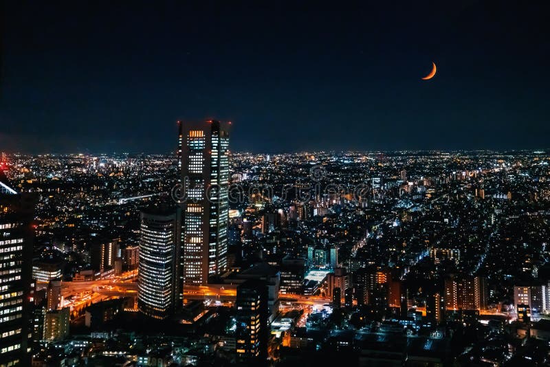 Rascacielos iluminados de Shinjuku