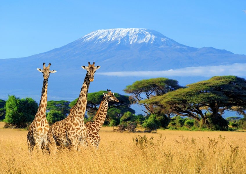 Montaña Kilimanjaro en Tanzania